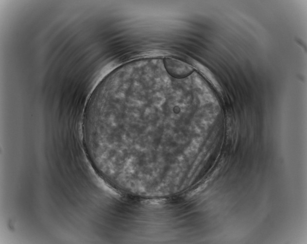 X0000097460810200803141850