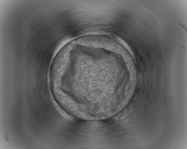 X0000097460811200803141850