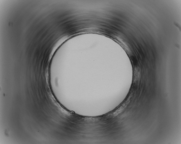 X0000097460812200803141850