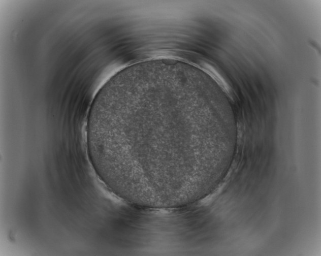 X0000097460814200803141850