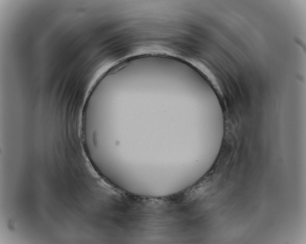 X0000097460815200803141850