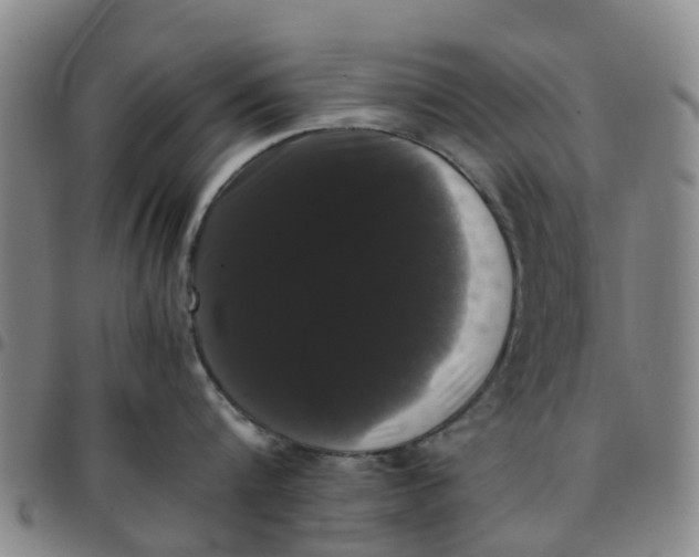 X0000097460816200803141850