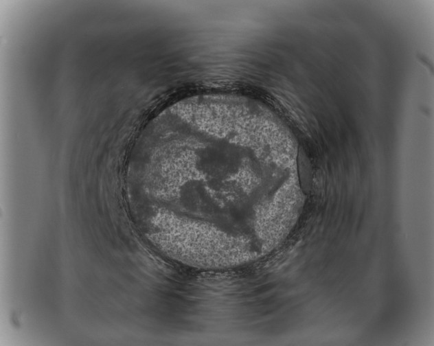 X0000097460817200803141849