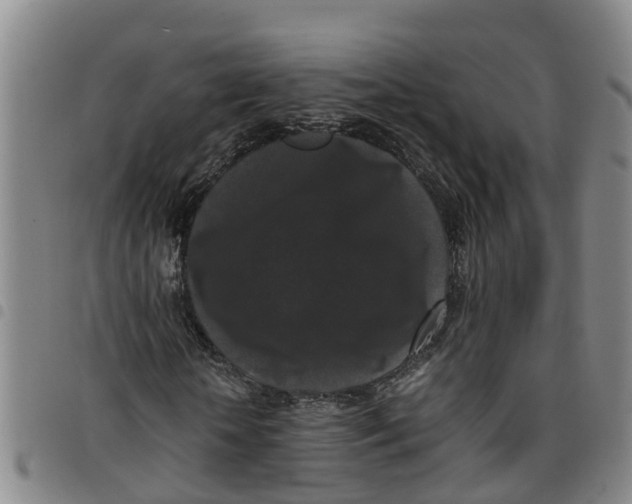 X0000097460818200803141849