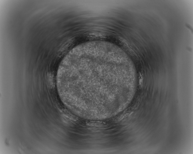 X0000097460819200803141849