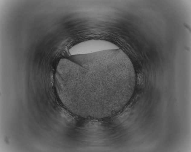 X0000097460820200803141849