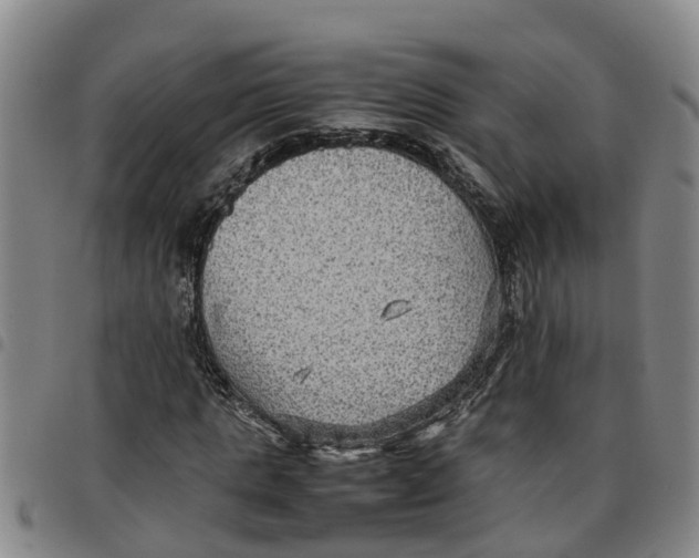 X0000097460821200803141849