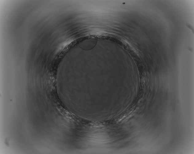 X0000097460822200803141849