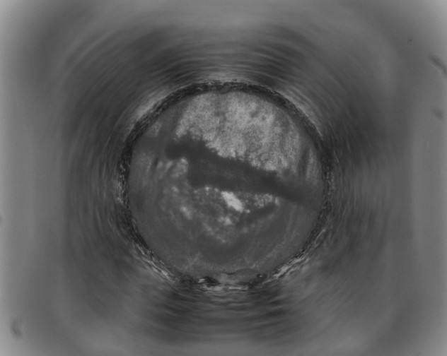 X0000097460823200803141850