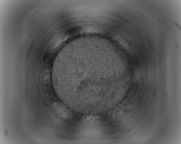 X0000097460824200803141850