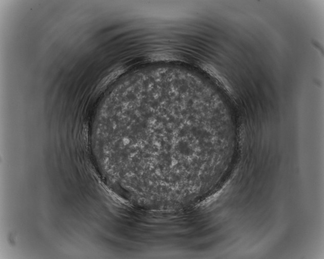 X0000097460825200803141850