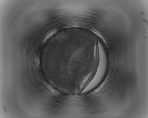 X0000097460826200803141850