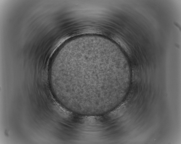 X0000097460828200803141850