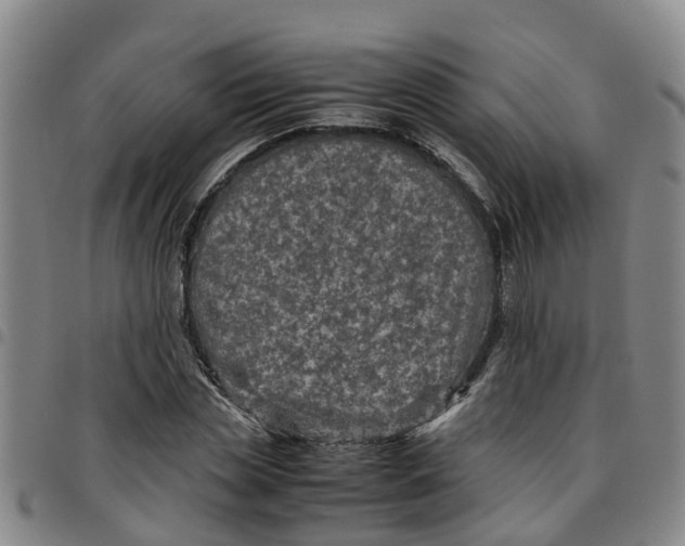 X0000097460829200803141850