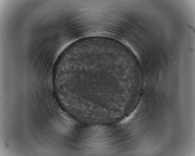 X0000097460830200803141850