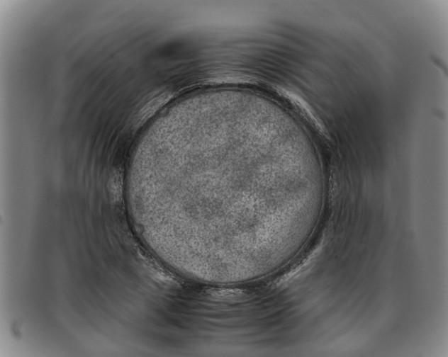 X0000097460833200803141850