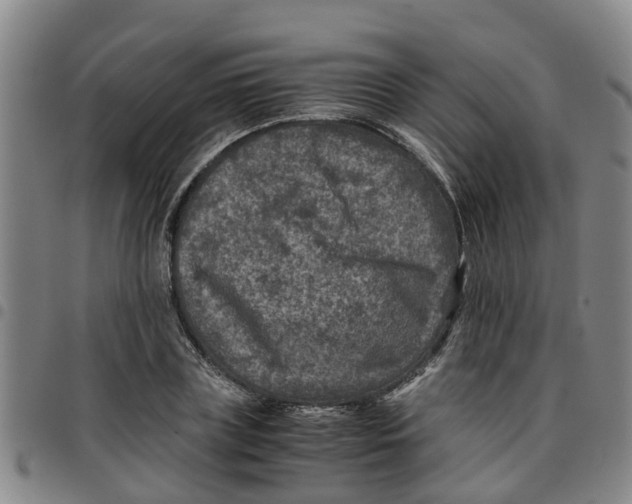 X0000097460835200803141850