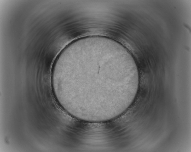 X0000097460836200803141850