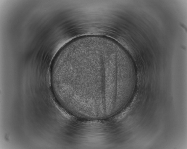 X0000097460838200803141850