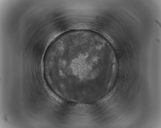 X0000097460840200803141850