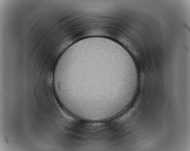 X0000097460841200803141850