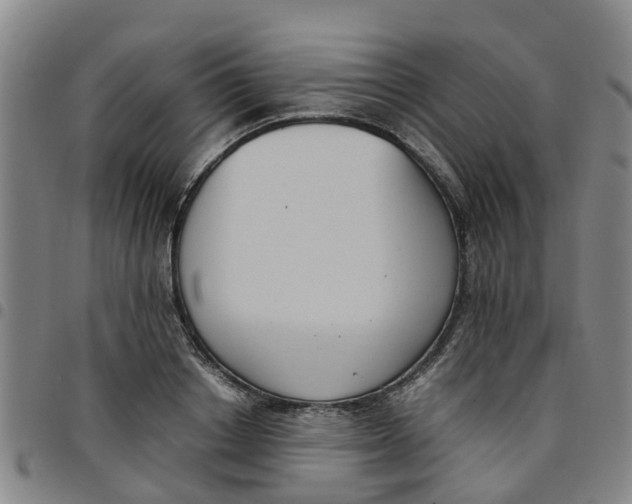 X0000097460842200803141850