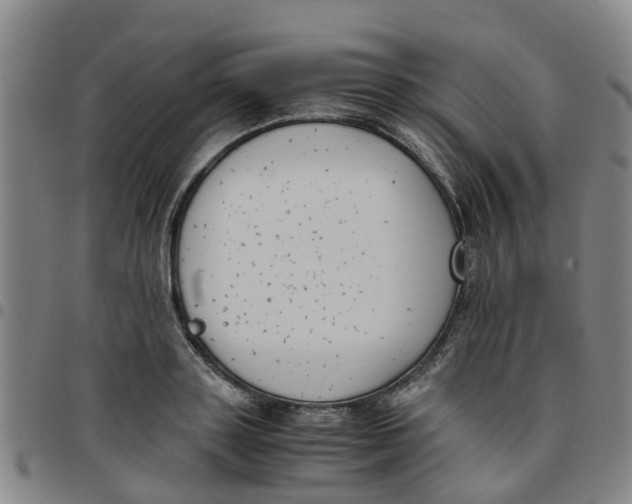 X0000097460843200803141850