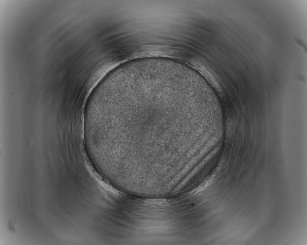 X0000097460844200803141850