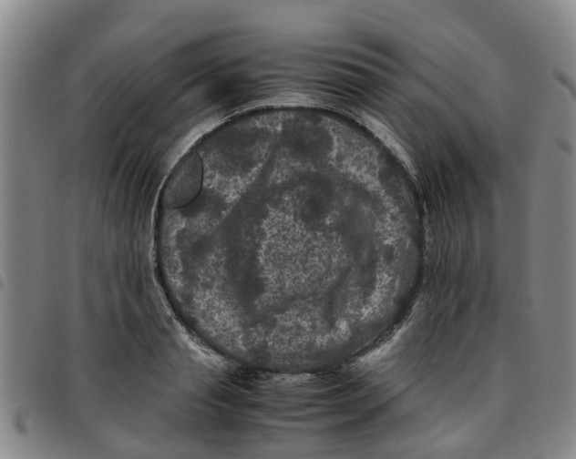 X0000097460845200803141850