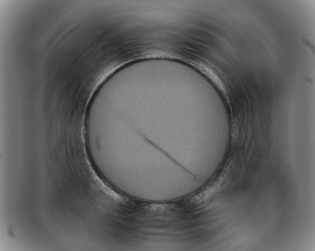 X0000097460847200803141850