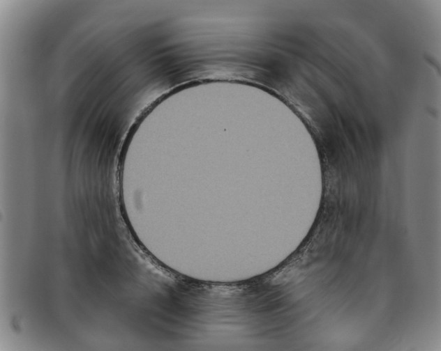 X0000097460848200803141850