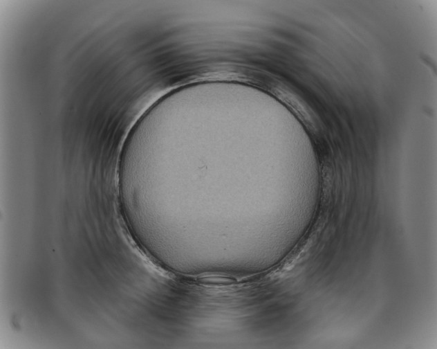 X0000097460852200803141850