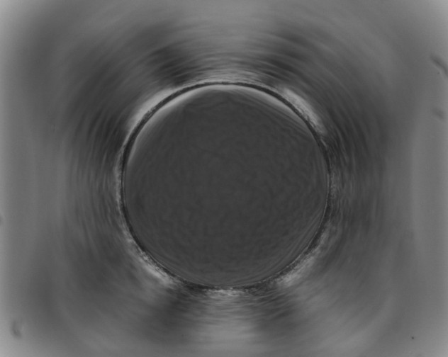 X0000097460854200803141850