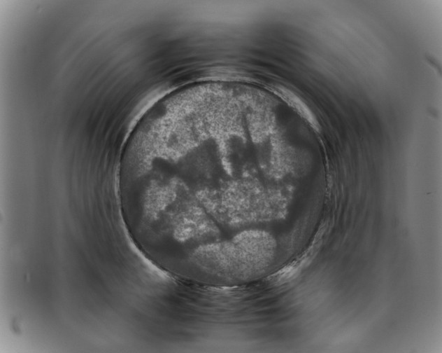 X0000097460855200803141850