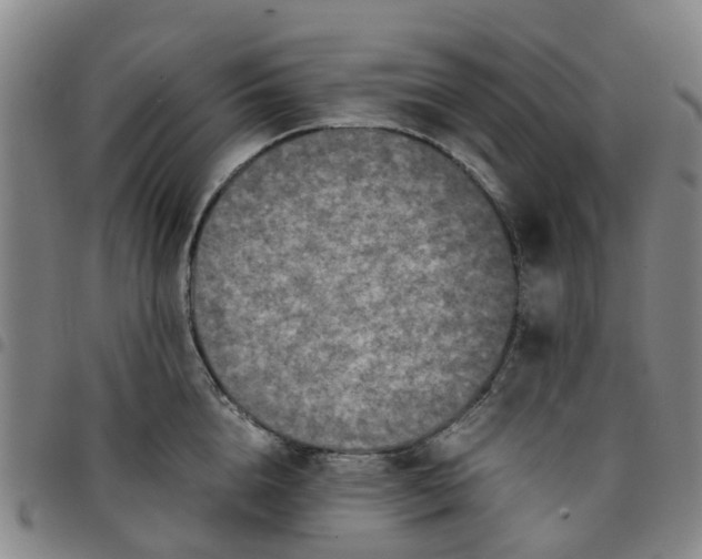 X0000097460856200803141850