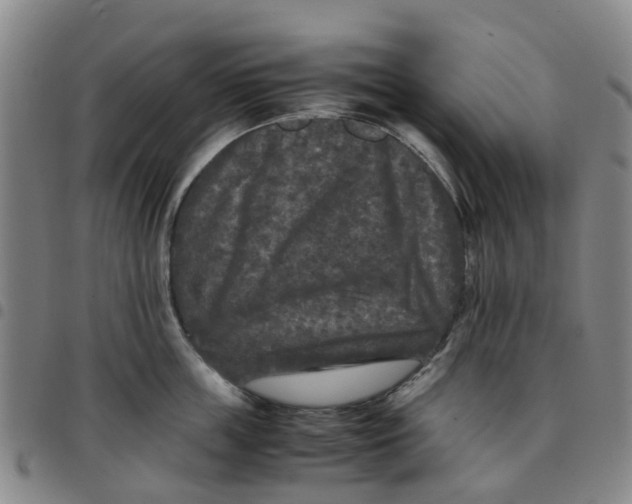 X0000097460859200803141850