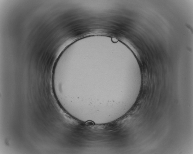 X0000097460861200803141850