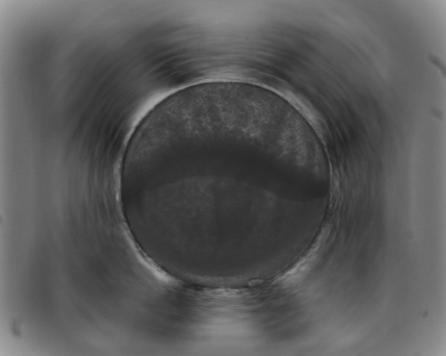 X0000097460862200803141850