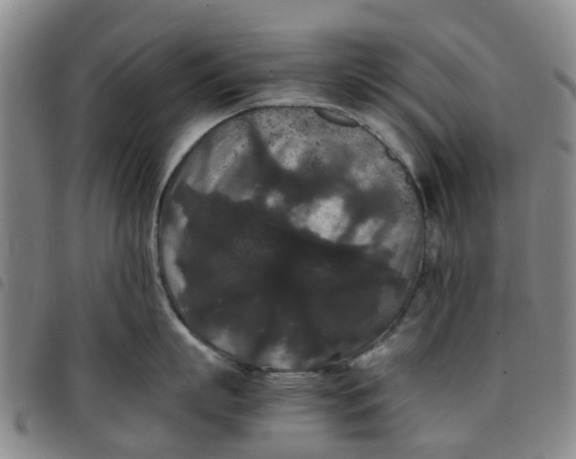 X0000097460863200803141850