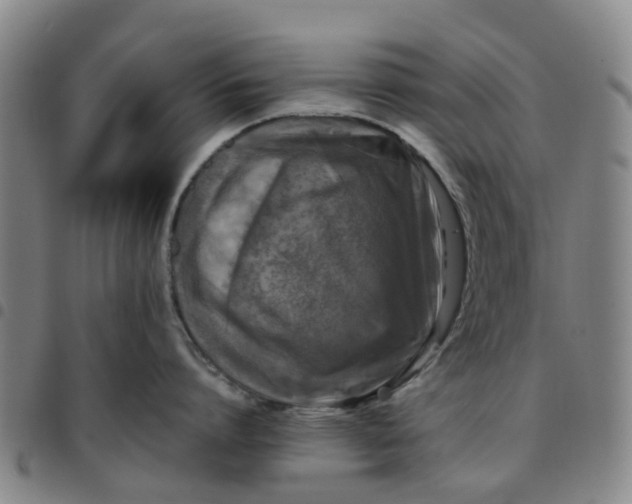 X0000097460864200803141850