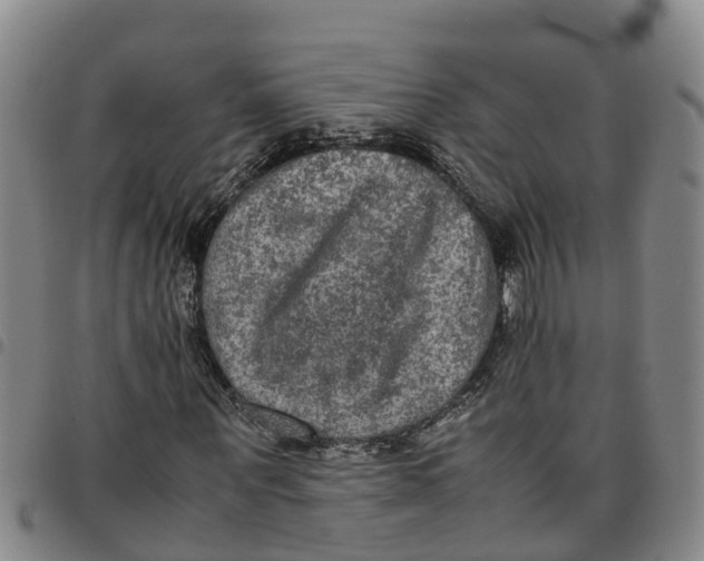 X0000097460867200803141849