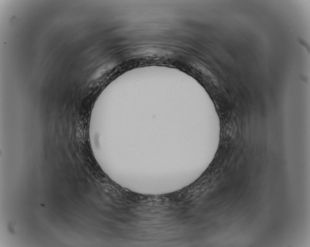 X0000097460869200803141849