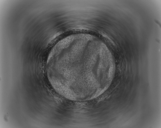 X0000097460870200803141849