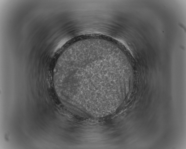 X0000097460871200803141849