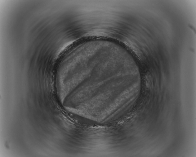 X0000097460872200803141849