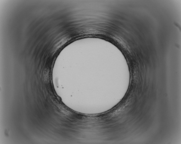 X0000097460873200803141849