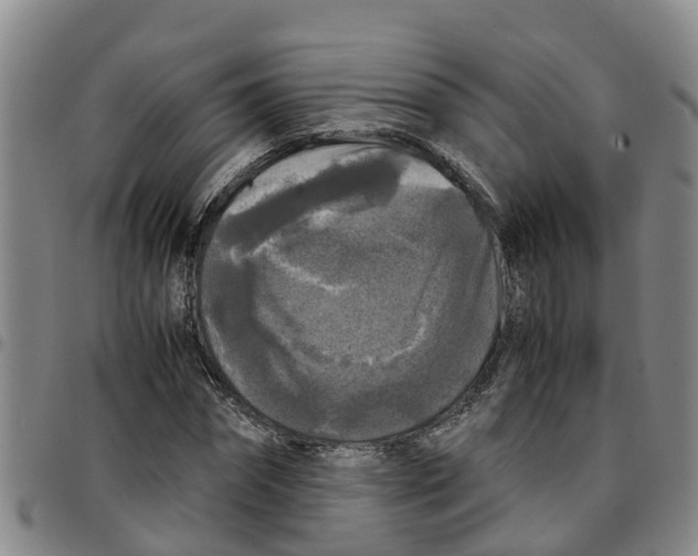 X0000097460874200803141849