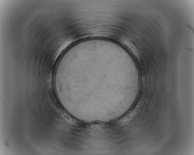 X0000097460875200803141849