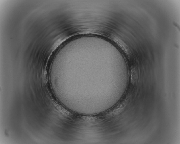 X0000097460876200803141849