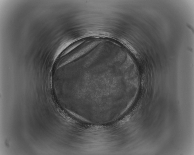 X0000097460877200803141849